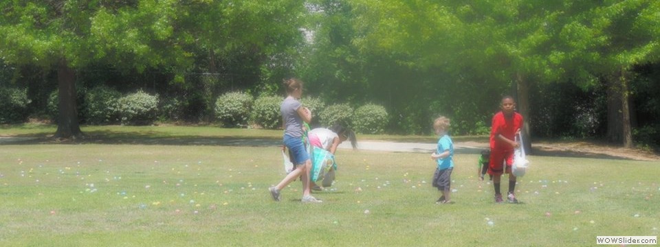 10156004_873874202626451_5174021002883201479_n