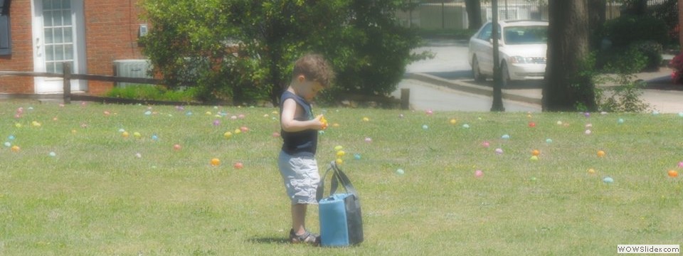 10172582_873873072626564_1199118687649098525_n