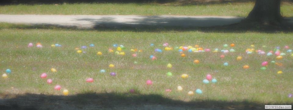 10314512_873873779293160_835314118078944518_n