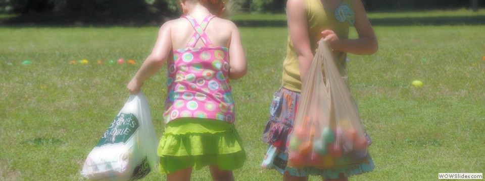 1508569_873874532626418_7228786377781845151_n