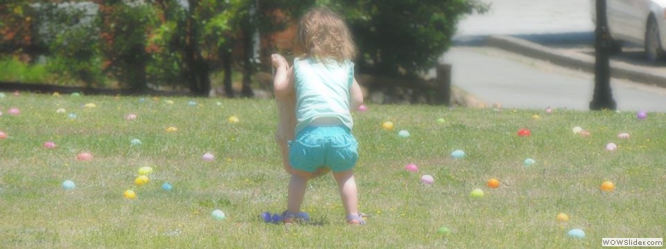 923207_873873435959861_3216878352291427417_n